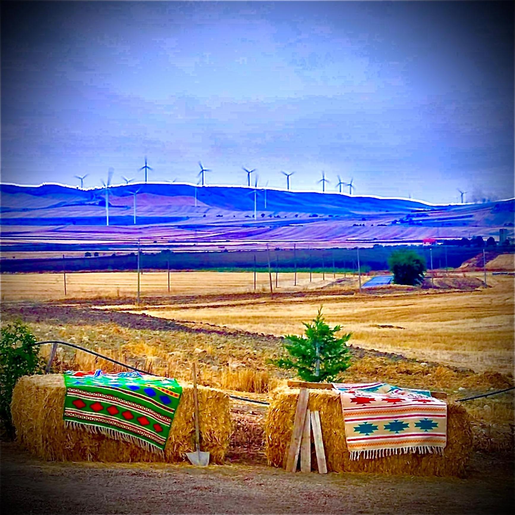 كانديلا Antica Masseria Il Casone المظهر الخارجي الصورة