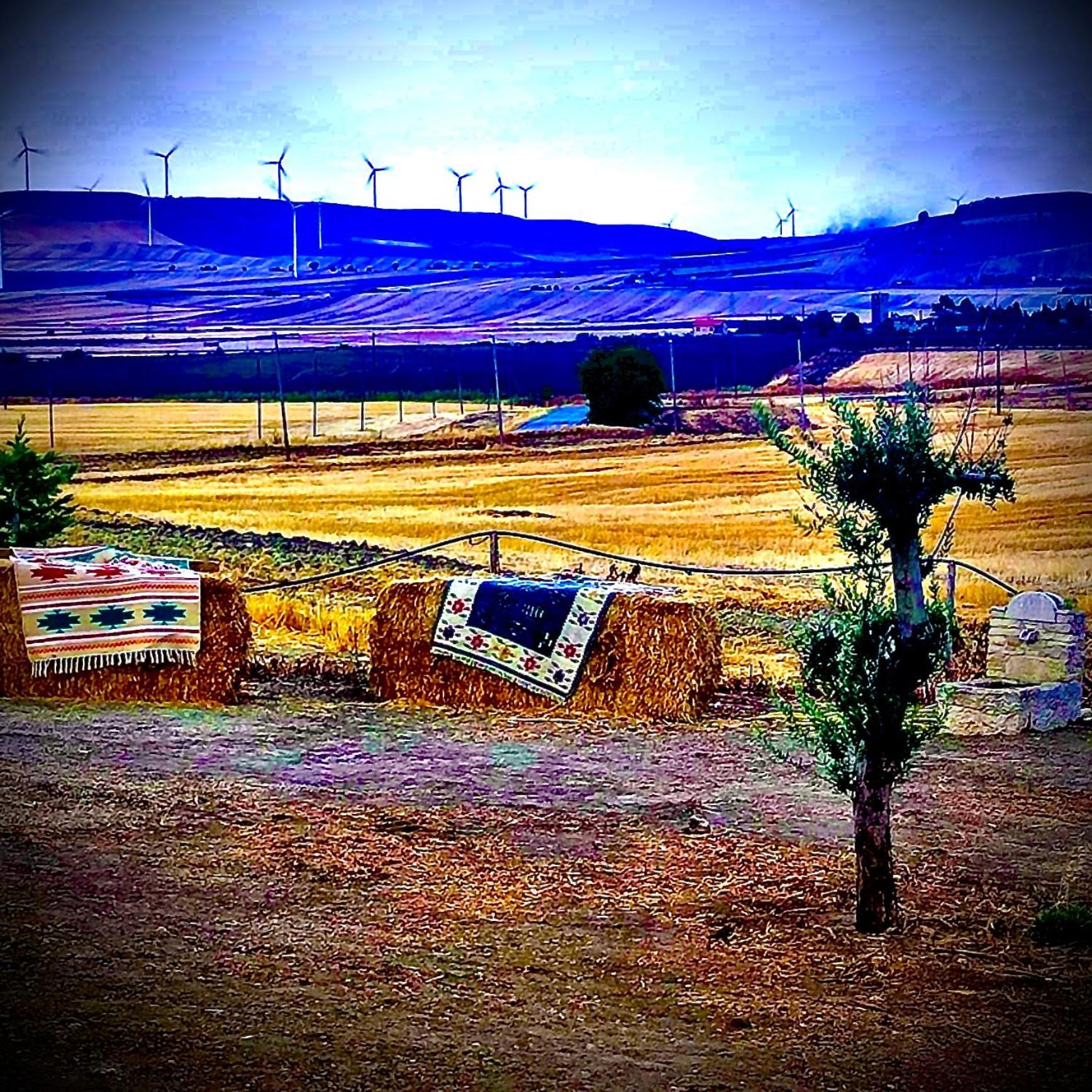 كانديلا Antica Masseria Il Casone المظهر الخارجي الصورة